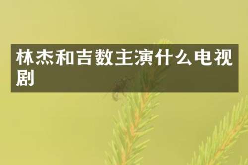 林杰和吉数主演什么电视剧