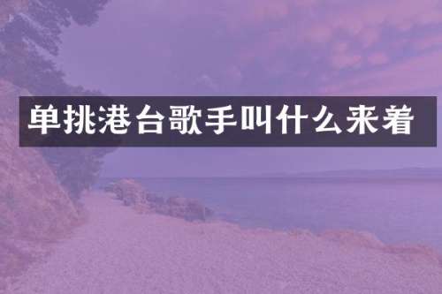 单挑港台歌手叫什么来着