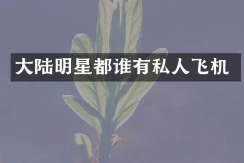 大陆明星都谁有私人飞机