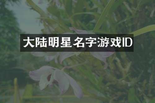 大陆明星名字游戏ID