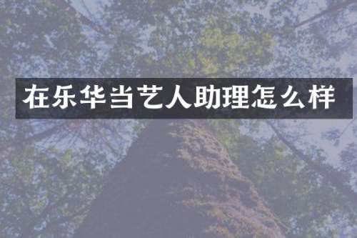 在乐华当艺人助理怎么样