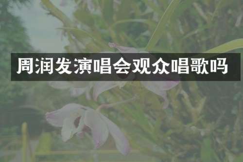 周润发演唱会观众唱歌吗