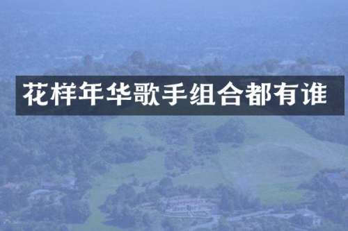花样年华歌手组合都有谁