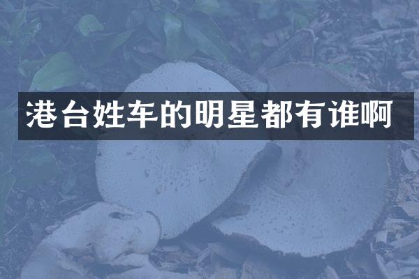 港台姓车的明星都有谁啊