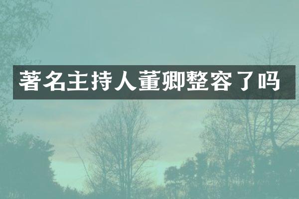 著名主持人董卿整容了吗
