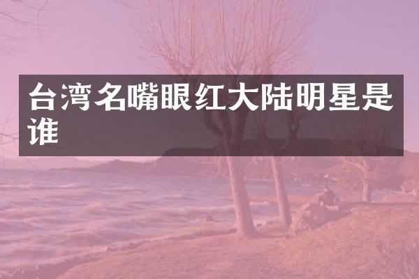 台湾名嘴眼红大陆明星是谁