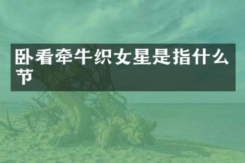 卧看牵牛织女星是指什么节