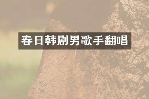 春日韩剧男歌手翻唱