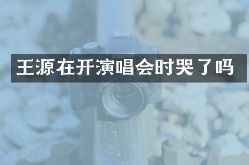 王源在开演唱会时哭了吗