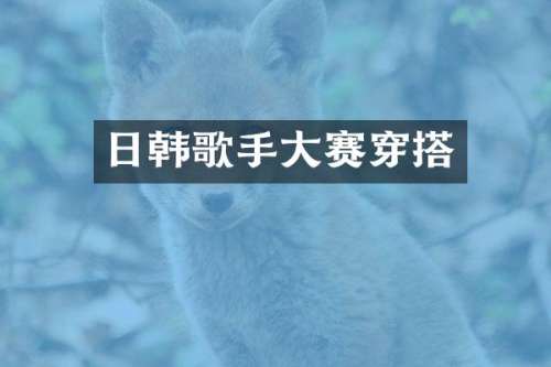 日韩歌手大赛穿搭