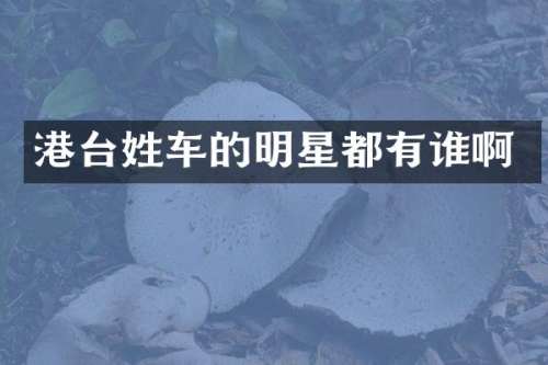 港台姓车的明星都有谁啊