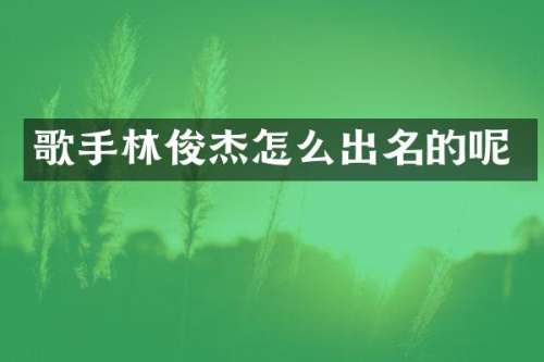 歌手林俊杰怎么出名的呢