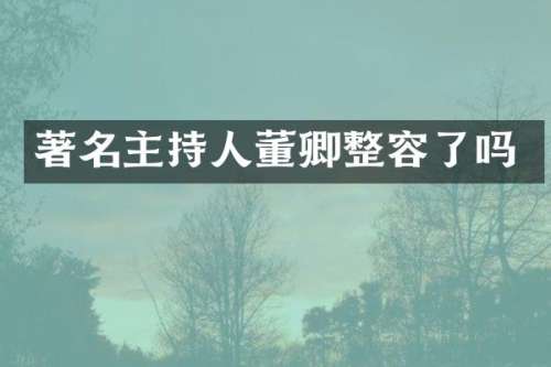 著名主持人董卿整容了吗