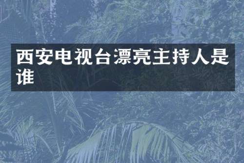 西安电视台漂亮主持人是谁
