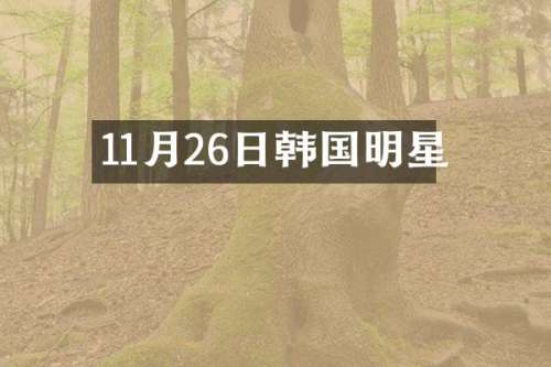 11月26日韩国明星