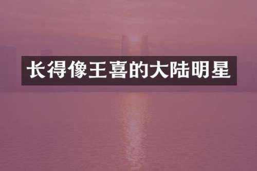 长得像王喜的大陆明星
