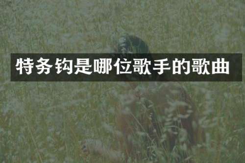 特务钩是哪位歌手的歌曲