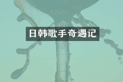 日韩歌手记