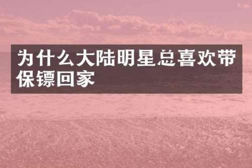 为什么大陆明星总喜欢带保镖回家