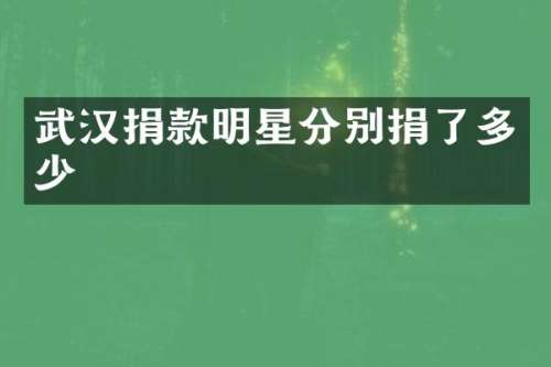 武汉捐款明星分别捐了多少