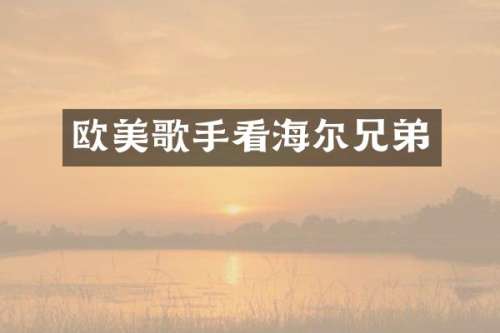 欧美歌手看海尔兄弟