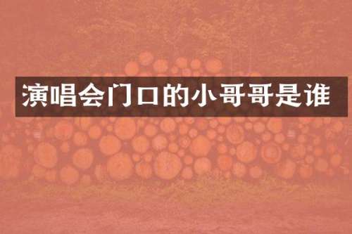 演唱会门口的小哥哥是谁