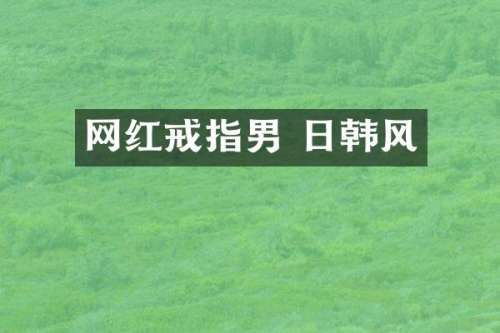 网红戒指男 日韩风
