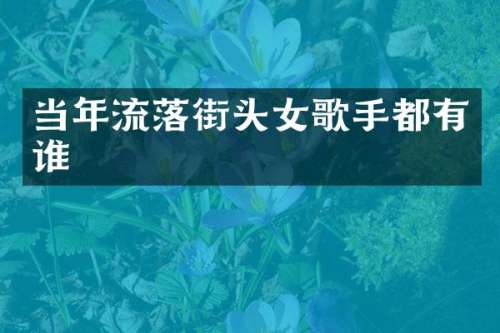 当年流落街头女歌手都有谁
