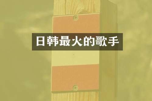 日韩最火的歌手