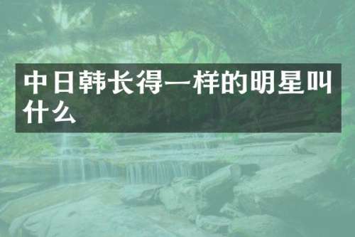 中日韩长得一样的明星叫什么