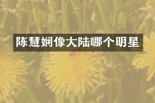 陈慧娴像大陆哪个明星