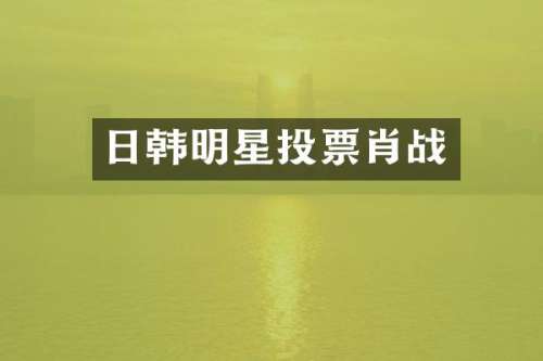 日韩明星投票肖战