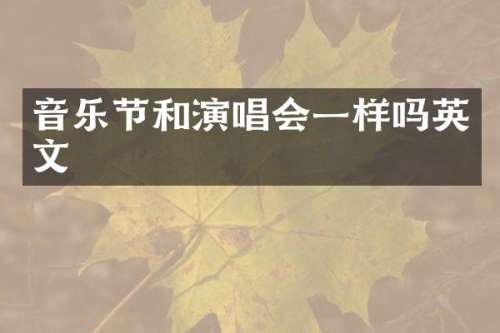 音乐节和演唱会一样吗英文