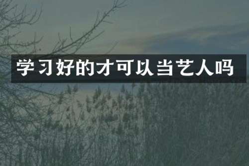 学习好的才可以当艺人吗