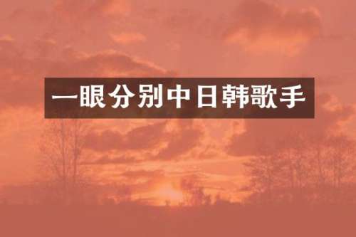 一眼分别中日韩歌手
