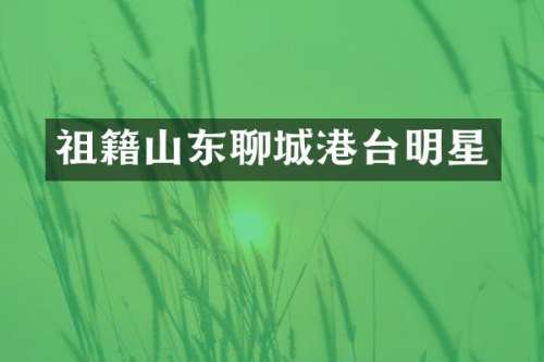 祖籍山东聊城港台明星