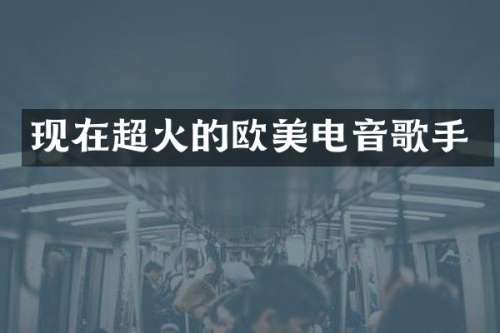 现在超火的欧美电音歌手