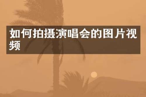 如何拍摄演唱会的图片视频