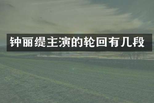 钟丽缇主演的轮回有几段