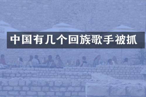 中国有几个回族歌手被抓
