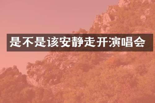 是不是该安静走开演唱会