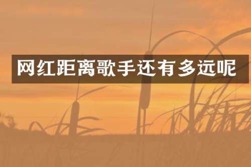 网红距离歌手还有多远呢