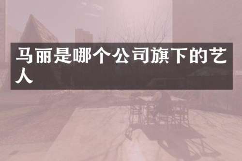 马丽是哪个公司旗下的艺人