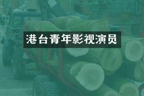 港台青年影视演员