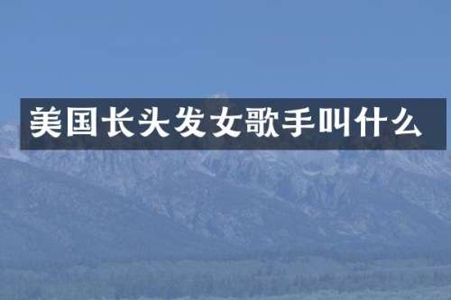 美国长头发女歌手叫什么