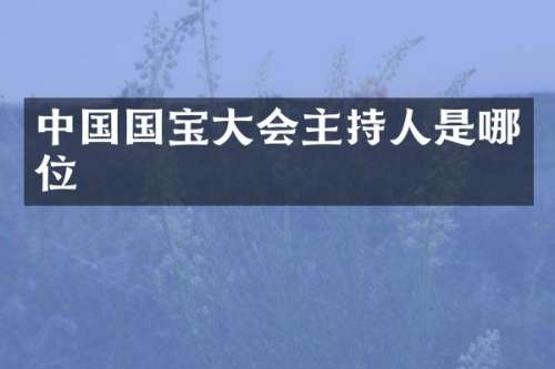 中国国宝大会主持人是哪位
