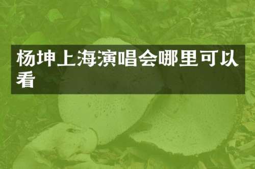 杨坤上海演唱会哪里可以看