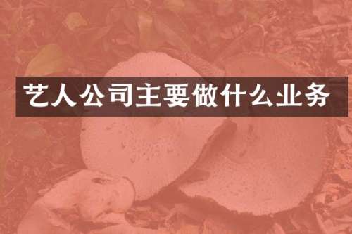 艺人公司主要做什么业务
