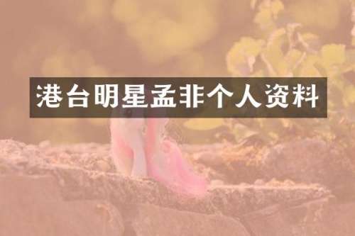 港台明星孟非个人资料