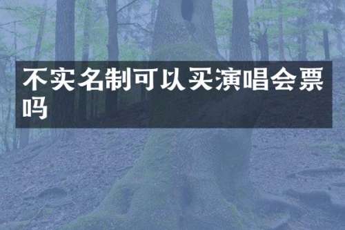 不实名制可以买演唱会票吗
